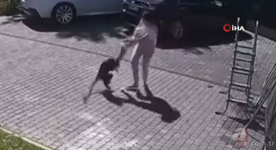 Maymun böyle kaçırdı! Halk seferber oldu 17