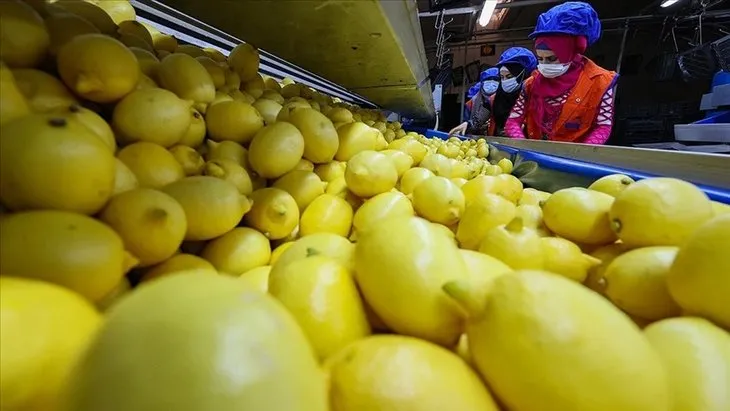 Cam gibi cildin sırrı bu tarifte! Limonun içine kırıp karıştırın...