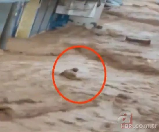 Şanlıurfa’da şiddetli sağanak sonrası sel! Korkunç görüntüler... Belediye Başkanı son durumu A Haber'de anlattı 22