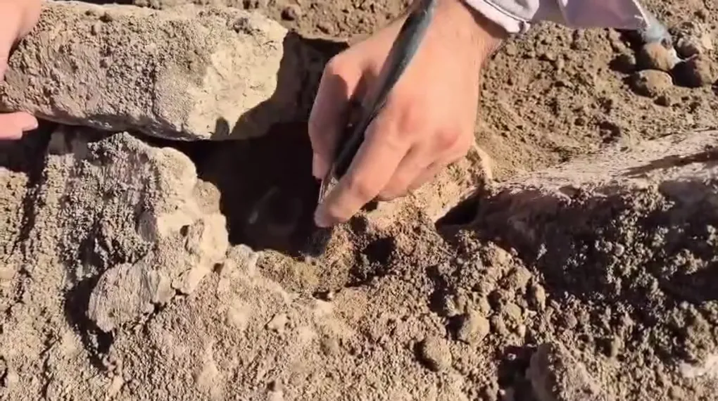 Kütahya'da 4 bin yıllık keşif! Tunç Çağı'ndan kalan köpek pati izleri ortaya çıktı