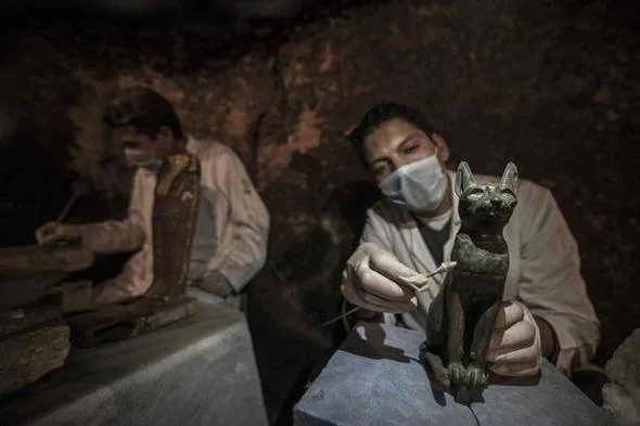 Mısır’da kedi ve böcek mumyası bulundu