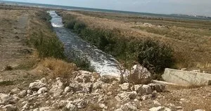 Van Gölü’ne kaçak deşarja ceza