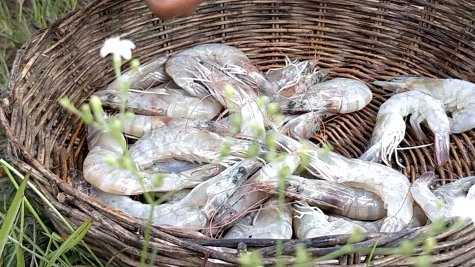 Böyle yemek yapma yöntemi görmediniz