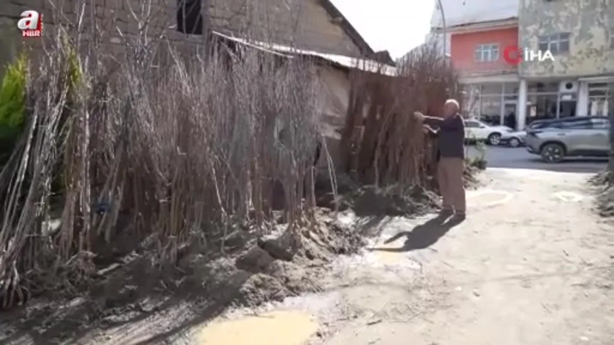 Muş’ta meyve fidanları satışa çıktı