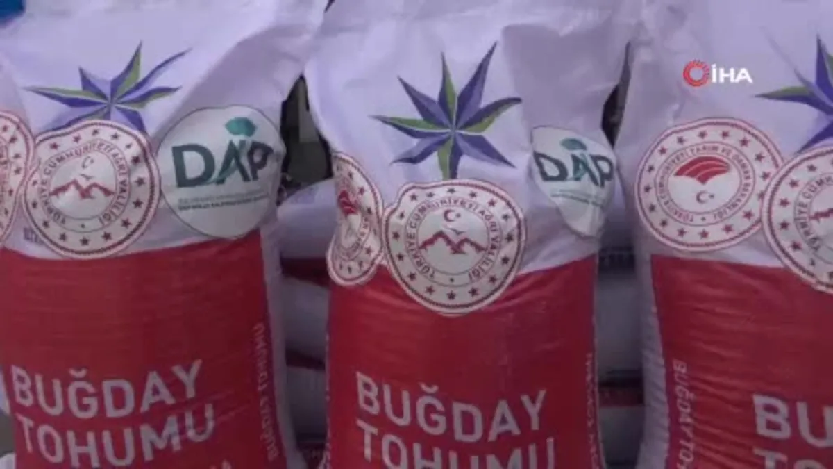 Ağrı'da yüzde 70 hibe ile 300 ton sertifikalı buğday tohumu