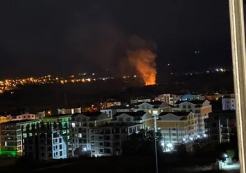 Bursa'da korkutan yangın! Yerleşim yerinin dibi alev aldı