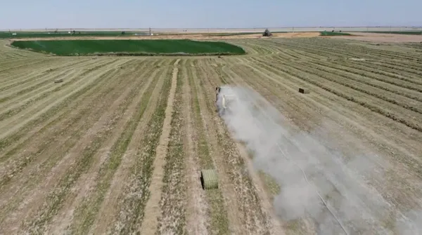 kira-nakliye-analiz-destek-tutarlari-belirlendi-1636886311725.jpg Tarım ve Orman Bakanı Bekir Pakdemirli duyurdu! Kira, nakliye, analiz destek tutarları belirlendi - 4