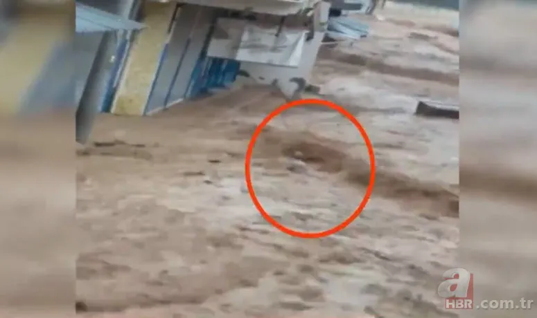 Şanlıurfa’da şiddetli sağanak sonrası sel! Korkunç görüntüler... Belediye Başkanı son durumu A Haber'de anlattı 21