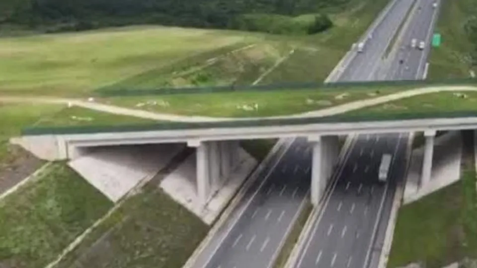 8 ekolojik köprüden biri İstanbul’da