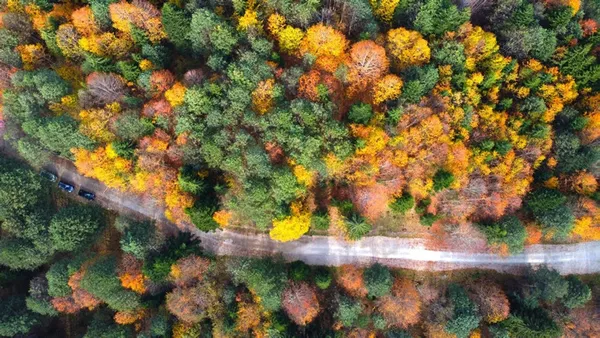 Artvin'in göllerine ziyaretçi akını! Gören hayran kalıyor! Her mevsim ayrı güzellik - 4
