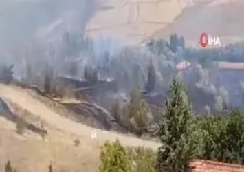 Çorum’da anız yangını