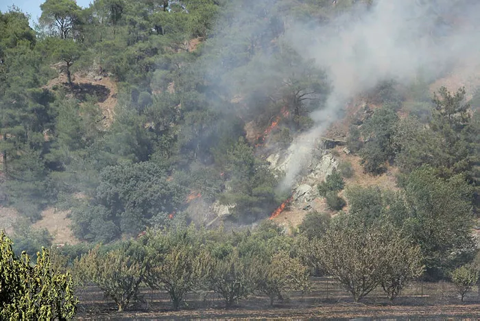 son-dakika-canakkalede-orman-yangini-1658592758835.jpg Son dakika: Çanakkale'de orman yangını! - 2
