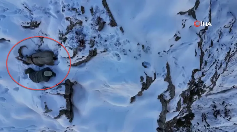 Drone ile görüntülerken şans eseri yakaladı! Kamufle olup gizlenmeye çalıştı...