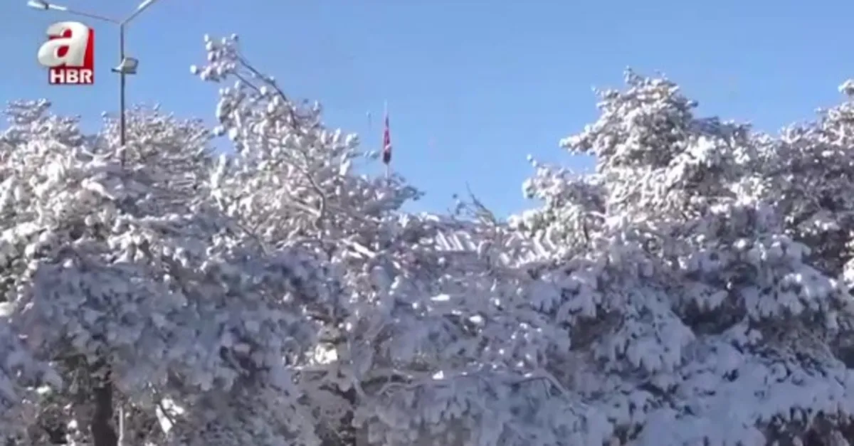 Kar yağışı yurdu etkisi altına aldı!