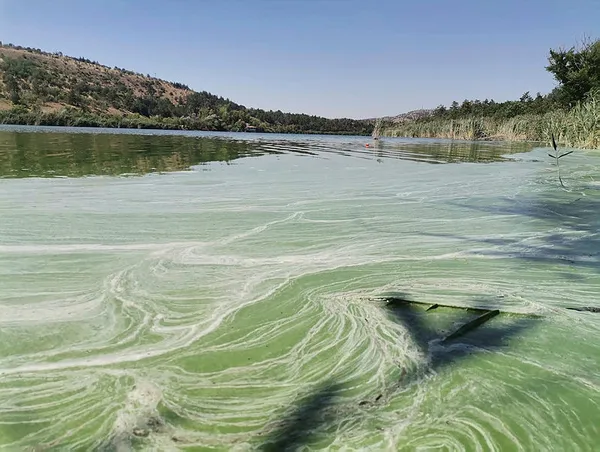 Eymir Gölü’nde müsilaj benzeri kirlilik: Simsiyah su fışkırıyor