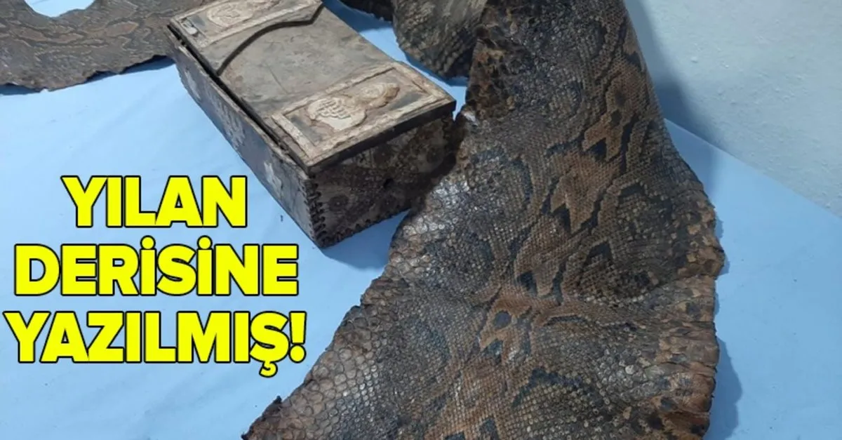 son dakika piton yilani derisine