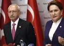 İyi Partiyi şoke eden anket sonucu...
