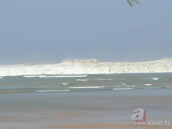 Corona virüs kehaneti Baba Vanga'yı bile geride bıraktı! Salgını 15 sene öncesinden bilmiş 24