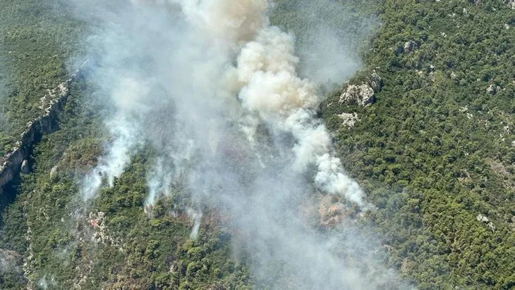 Antalya Kemer’deki orman yangınında kahreden görüntüler! Yeşil doğa yerini küllere bıraktı