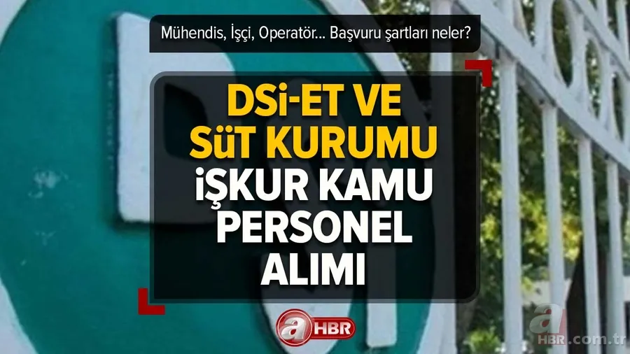 KPSS şartsız ilkokul mezunu KAMU personel alımı! Mühendis, İşçi, Operatör... Başvuru şartları neler? DSİ İŞKUR İş ilanı başvuru 2023 1