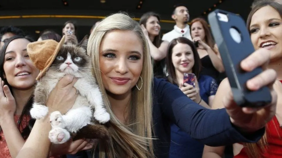 Fenomen 'Grumpy Cat’ hayatını kaybetti