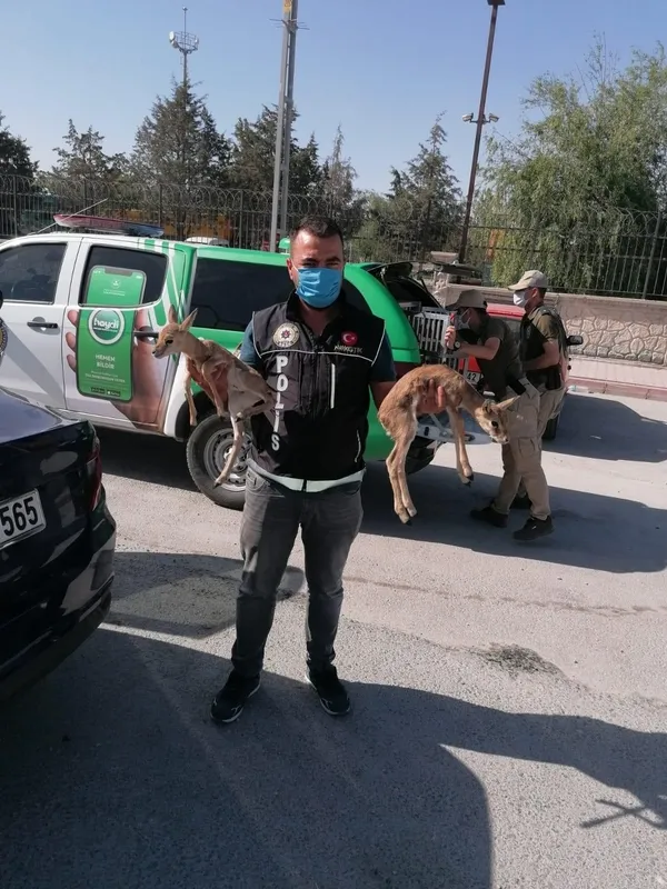 1622007987571.jpg Polisin durdurduğu otomobilde bulundular! Korumaya alındı - 3