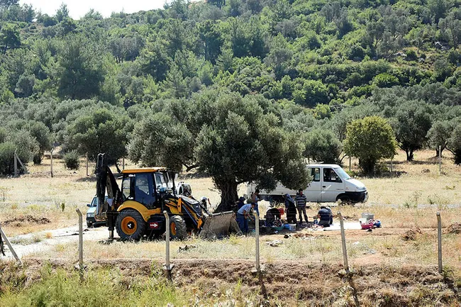 İzmir’de kamyonet kasasında kurban kestiler - 1