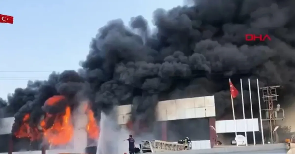 Manisa'da mobilya fabrikasında yangın