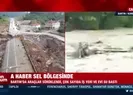 A Haber sel bölgesinde