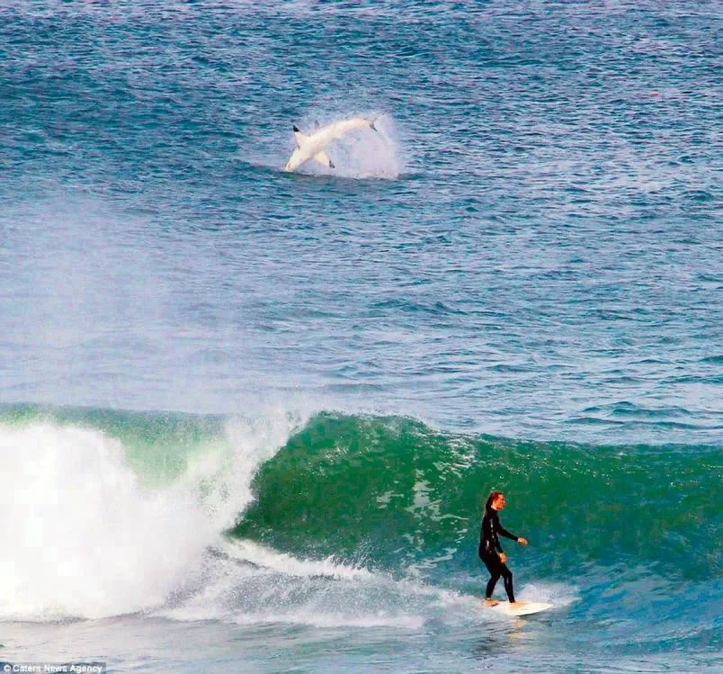 Korkunun fotoğrafı - 1