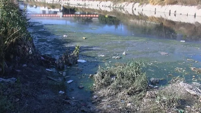 İstanbul'un göbeğinde vatandaşları isyan ettiren çevre kirliliği: Sağlığımız için virüsten daha kötü - 5