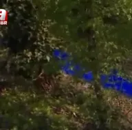 Endişelendiren görüntü! Lacivert aktı