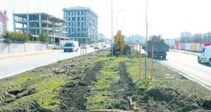 Ağaç katliamı yapan belediyeden cevap: Dekora uymadı kestik