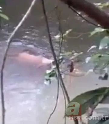 Dev timsah nehirde yüzen adamı parçaladı! Serinlemek için girdiği yerde feci şekilde can verdi | Allah ölümün bile hayırlısını versin 9