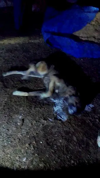 Ardahan'da şoke eden olay! Karısını ispirtoyla yakıp başkalarıyla ilişkisini izletti - 3