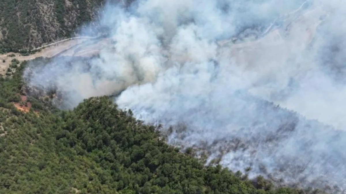 Karabük'te orman yangını! Havadan ve karadan müdahale ile alevler kontrol altında