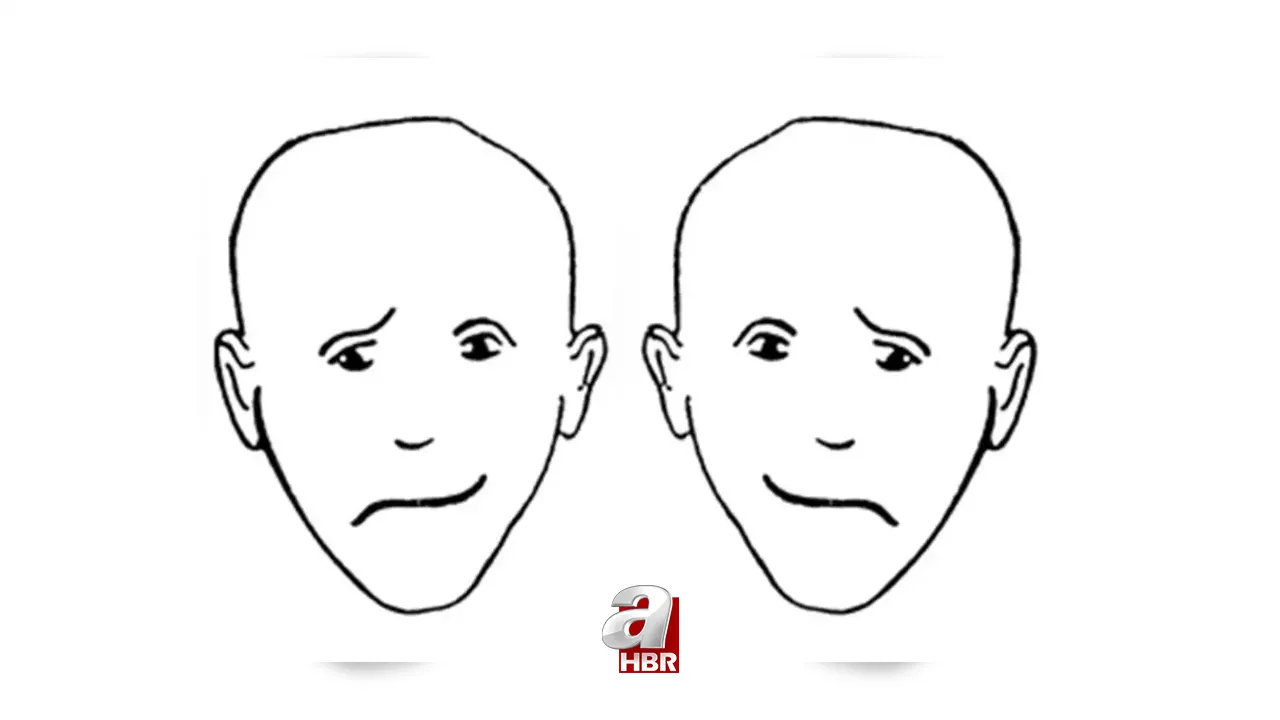 KİŞİLİK TESTİ | Bu optik illüzyon nasıl bir zekaya sahip olduğunu söylüyor! Hangi yüz gülüyor?