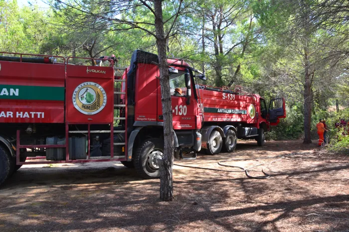 Son dakika: Manavgat’ta ormanı yakarken suçüstü yakalandı!