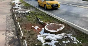 Nerede bu çevreciler?