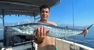 Türkiye’de ilk kez görüldü! Palamut sandı ama...