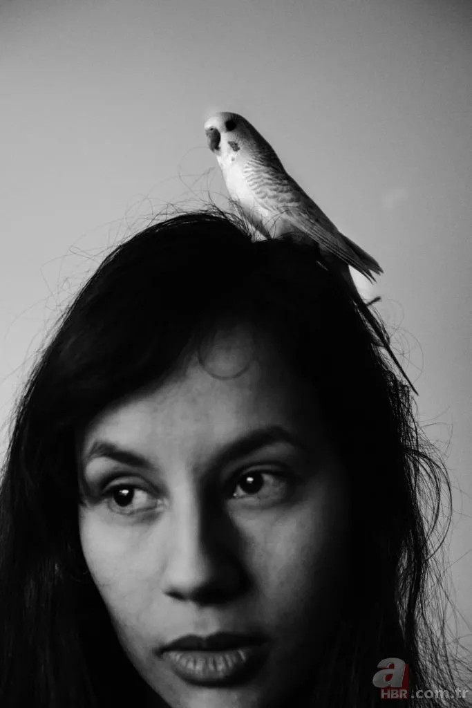 TFMD Yılın Basın Fotoğrafları 2017 açıklandı 24