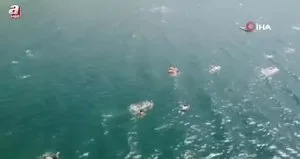 Van Gölü’nde kabotaj bayramı coşkusu
