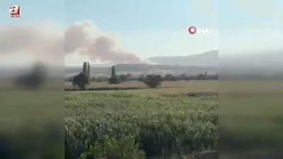 Susurluk’ta orman yangını başladı