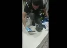 24 ilde Tümör Operasyonu