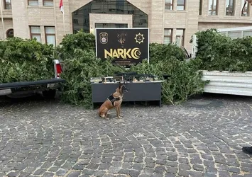 Kilis'te uyuşturucu operasyonu: 1 tutuklama