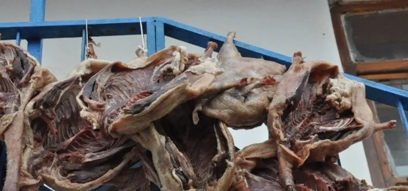 Kars Sarıkamış'ta kaz kesimi başladı