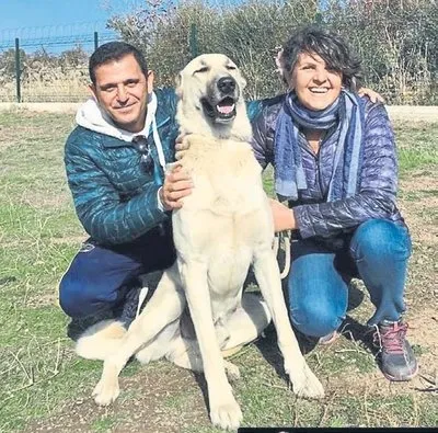 Fatih Portakal’ın çiftliğinde inceleme! Kaçak inşaat yaptığı ortaya çıkmıştı