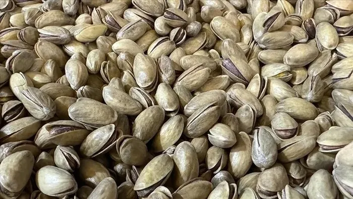 Antep fıstığına Dubai çikolatası şoku! Karaborsaya düştü - 4