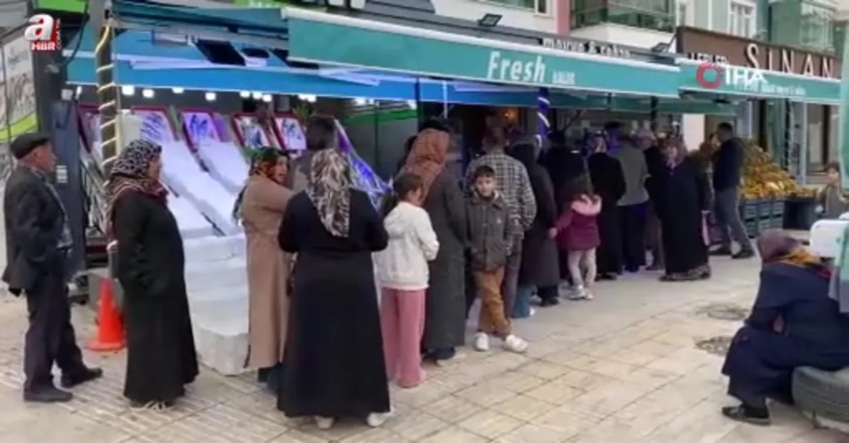 Çorum'da hamsinin kilosu 40 liraya düştü