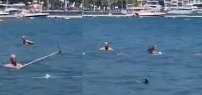 Marmaris’teki köpek balığı paniği | Deniz tırmığı ile balığı kovalayan Sezai Külünç anlattı: 2 gündür peşindeydim